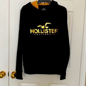 Hollister hoodie NWOT
